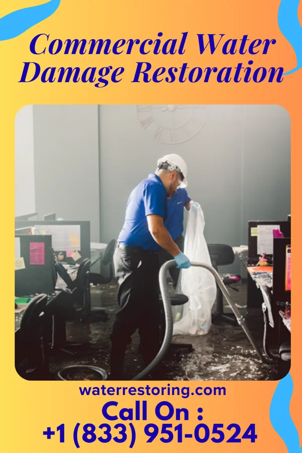 Commercial Water Damage Restoration in Lenoir City, TN