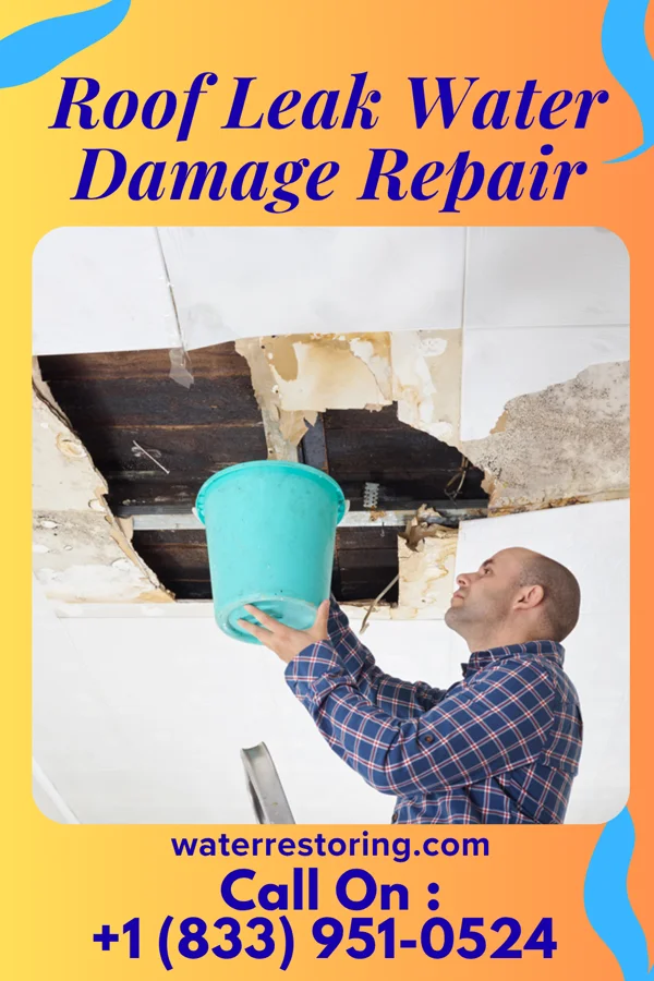Roof Leak Water Damage Repair in Lenoir City, TN